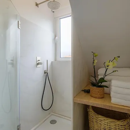 Apartament Cozy *